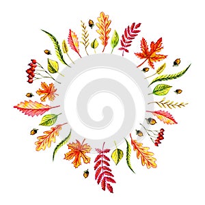 Autumn leaves wreath: maple, birch, willow, oak, acorn, birch leaves, blade of grass, rowan leaf, rowan berries, grass