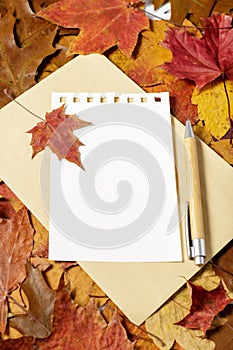 Autumn letter. Blank paper with envelope and bamboo pen over fallen leaves