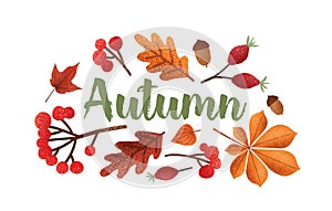 Autumn lettering handwritten with beautiful cursive calligraphic font decorated with fallen tree leaves, acorns, berries
