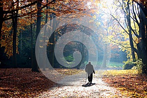 Autumn of life, Walking senior man photo