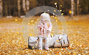 Autumn lifestyle photo child throws up the leaves and having fun