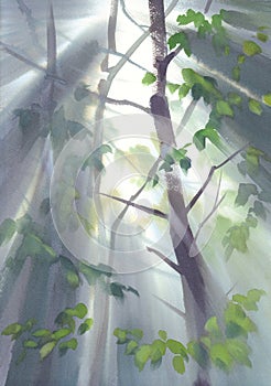 Autumn light in the forest watercolor landscape