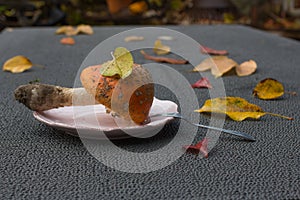 Autumn. likable amanita on the table