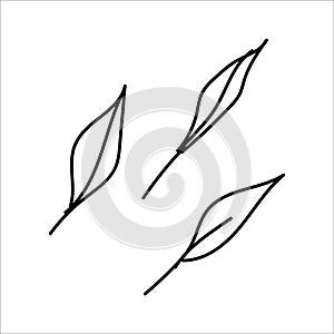 Autumn line art set willow leaves. Hello autumn concept. Suitable for collage, postcards, stickers, posters, stamps, logos, labels