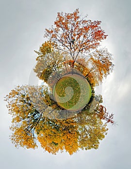 Autumn little planet - Globe with forest