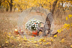 Autumn location, autumn decor, chairs