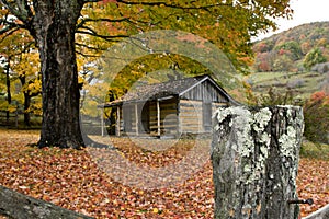 Autumn Log Homestead