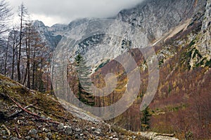 Autumn in Logar Valley