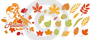 Autumn logo vector. The natural label. Autumn colorful bright leaves. Decorative set of isolated colorful autumn leaves.