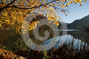 Autumn at Lucelle Lake in Swiss Jura