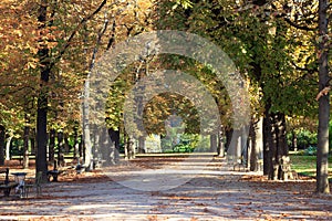 Autumn in the Luxamburg Park in Paris, France