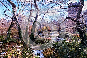 Autumn in Madison Square Park in NY, USA