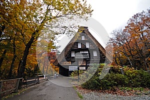 Autumn magical scene of Triangular ancient local cottage in Shirakawago village in Takayama Japan