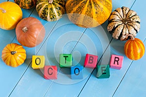 Autumn, many-coloured pumpkins frame, the word