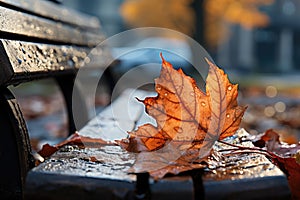 Autumn maple leaf on a bench in the park. Selective focus. Generative AI Generative AI