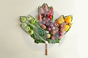 Autumn maple leaf food harvest concept