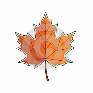 Autumn Maple Leaf Illustration