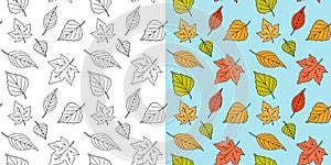 Autumn maple leaf pattern. Fall leaves seamless pattern. Seasonal template with leaf texture. Vector