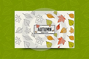 Autumn maple leaf pattern. Fall leaves seamless pattern. Seasonal web banner template with leaf texture. Vector