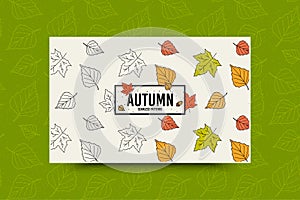 Autumn maple leaf pattern. Fall leaves seamless pattern. Seasonal web banner template with leaf texture. Vector