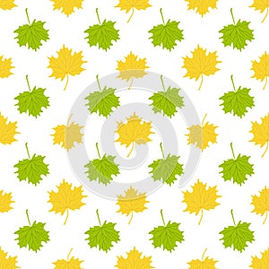 Autumn maple leaf seamless pattern simple vector minimalist concept flat style illustration, yellow orange hand drawn natural flor