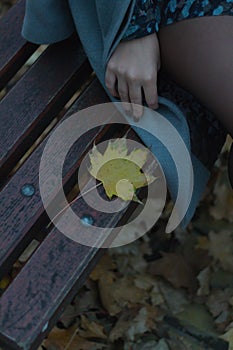 Autumn maple leaf beside a woman on a wooden bench in a park