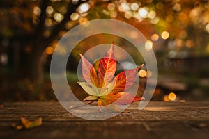 Autumn Maple Leaf on Wooden Surface