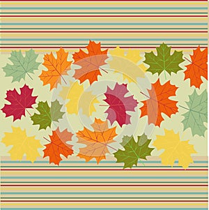 Autumn maple leaves background