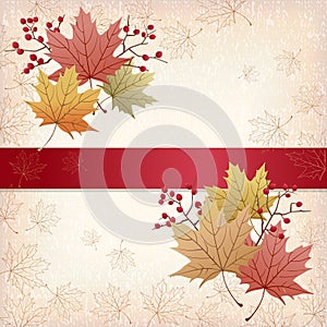 Autumn Maple leaves background with grunge texture