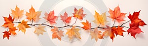 Autumn maple leaves on banner background