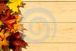 Autumn maple leaves lie on a wooden background with place for text.