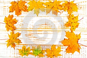 Autumn maple leaves over wooden white background with copy space.