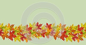Autumn Maple Leaves Seamless Border on Green Background.