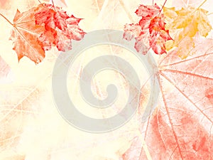 Autumn Maple Leaves Template 3