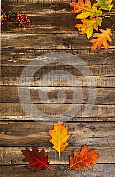 Autumn maple leaves on wooden table