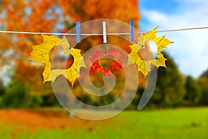 Autumn maple red and yellow last leaves with love hearts hanged by clothespins on the tree branch against colorful fall nature