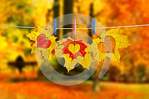 Autumn maple red and yellow last leaves with love hearts hanged by clothespins on the tree branch against colorful fall nature