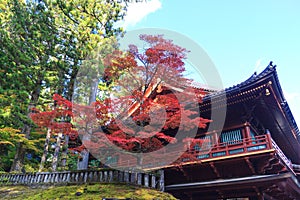 Autumn maple trees near Rinnoji temple of Nikko, Japan