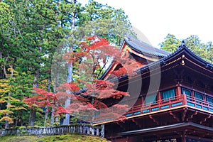 Autumn maple trees near Rinnoji temple of Nikko, Japan