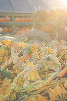 Autumn market