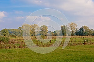 Autumn marsh landscape with meadows and trees inthe Flemish countryside