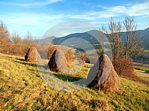 Podzimní louka s kupkami sena