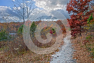 Autumn Meadow Trail