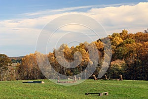 Autumn Meadow and Trees