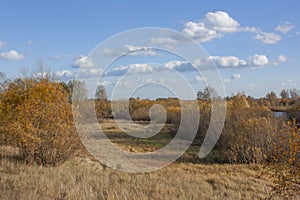 Autumn meadow with yellowed grass and bushes under a clear blue sky with white clouds