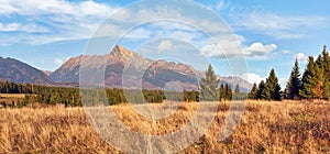 Autumn meadows, panorama of Tatry mountains with Krivan peak Slovak symbol in distance