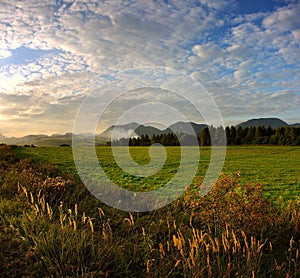 Autumn meadows in sunset