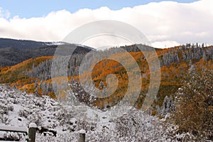 Autumn Meets Winter in the Rocky Mountains