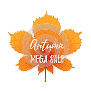 Autumn mega sale flyer colorful template with bright october leaf. Poster, banner design for seasonal sale