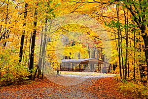 Autumn in Michigan